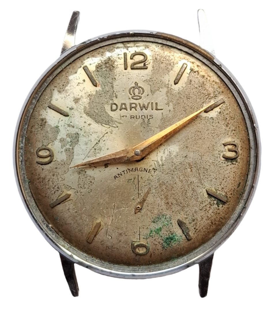 BackgroundEraser_20260120_183331679 BackgroundEraser_20260120_183331679