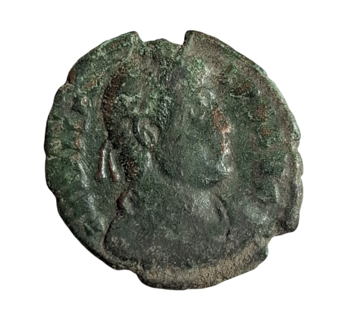 BackgroundEraser_20260222_233116734 BackgroundEraser_20260222_233116734